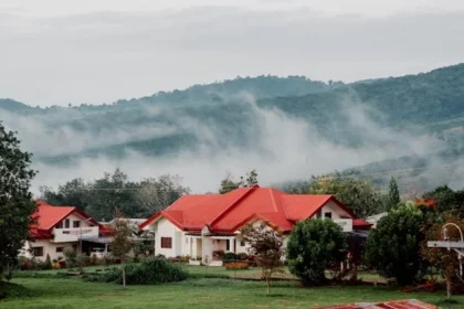 roofing near me rank with rapid url indexer